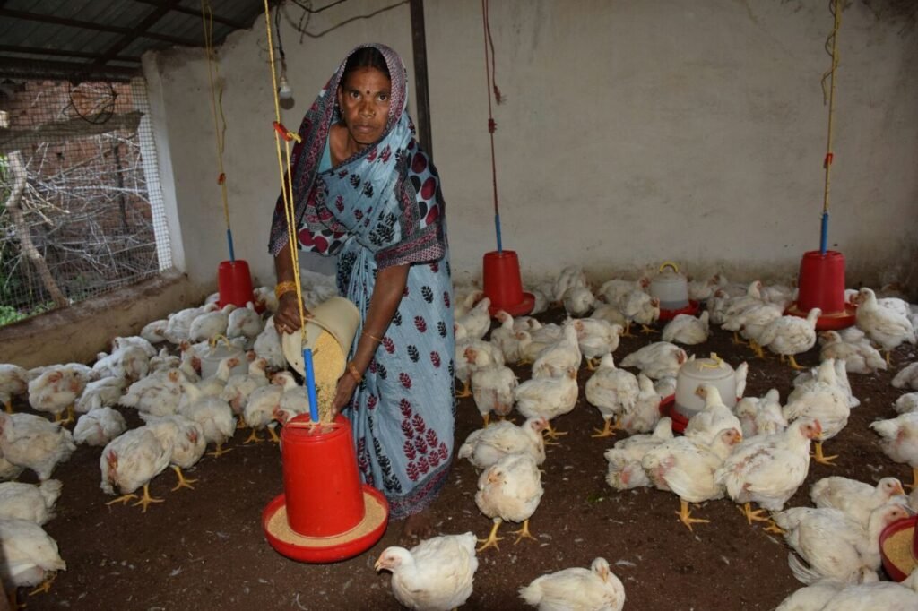 Poultry farming