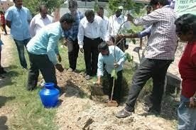 Tree plantation activity